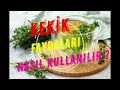 KEKİK BİTKİSİ  FAYDALARI NEDİR ? NASIL KULLANILIR ?