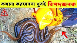 ইল মাছের উপর ভুলেও লাভা ঢালবেন না নাহলে যা ঘটবে... 10 Interesting Experiments | Its Fact Bangla