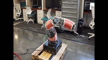 Nonlinear Evolutionary Model Predictive Control of a Pneumatically Actuated Robot