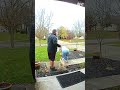Dog Walking Fails CCTV #dogs #pets #fails