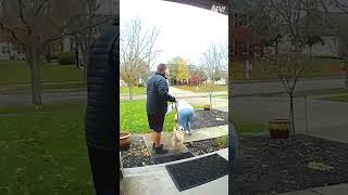 Dog Walking Fails CCTV #dogs #pets #fails