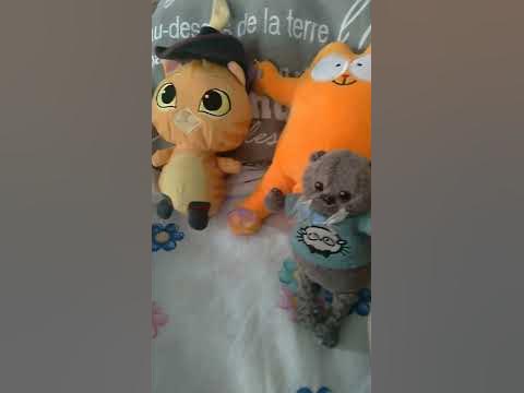 мои плюшевые коты и кошки - YouTube