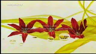 MEGA CHANNEL ident 2002 2003