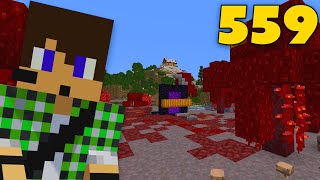 Minecraft ITA S6 E559