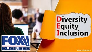 'NOT ALLOWED': GOP senator puts schools pushing DEI on notice