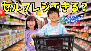 初めてのセルフレジにチャレンジ！本物の商品で遊ぶレジがいろいろすごすぎた！