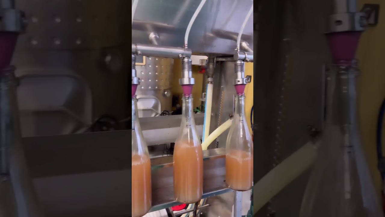 Bottling Rosé Cider @moscadinha  