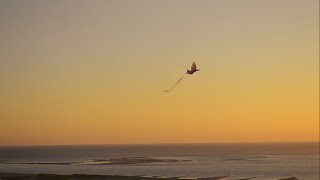 Mctoint - Morceau De Plaisir Music Video