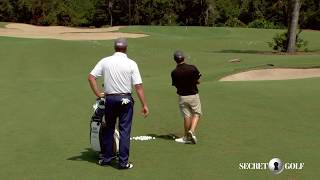 Brian Harman: 85 Yard Pitch Details