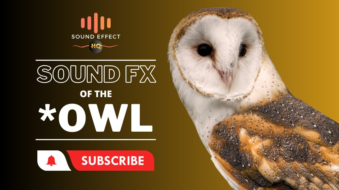 OWL - Sound Effect HQ - YouTube