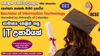 ‍‍කොළඹ විශ්වවිද්‍යාලයේ BIT උපාධිය | උසස් පෙළ අවශ්‍ය නෑ | BIT from Colombo University UCSC