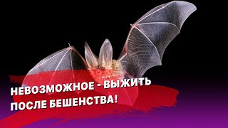 Невозможное - выжить после БЕШЕНСТВА!