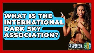 What Is The International Dark Sky Ociation? - Ecosystem Essentials