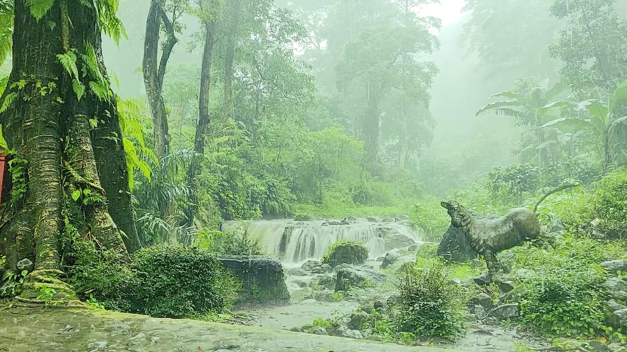 Hard Rain Stream Hard Rain Stream