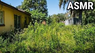 EXTREME Overgrown Lawn Rescue | Pure Mowing & Trimmer Sounds [ASMR]