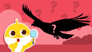 ❓Guess the Animals | Hide'n Seek with Baby Shark | Learn Animals | Baby Shark Puzzle