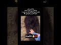 العناكب تبدو كأنها فرو او شعر متراكم لكن الحقيقة المرعبة viral اكسبلور المغرب_الجزائر mp3