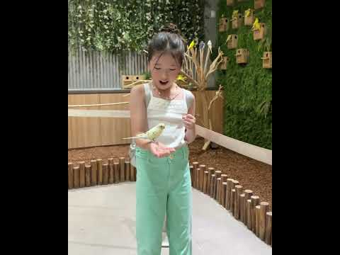 キム ユハビデオ