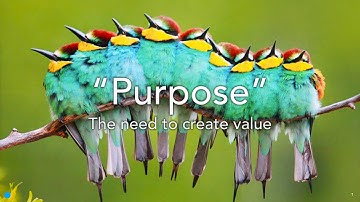 SWARM Concept 1.  Purpose the Need to Create Value