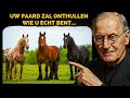 HET PAARD DAT JE KIEST, ONTHULT WIE JE BENT – PSYCHOLOGISCHE TEST VAN CARL JUNG