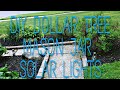 Yard Solar Home Lights Depot