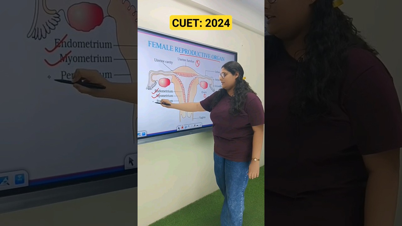 CUET 2024 : Science Stream Domains. Prepare yourself for DU, JNU & BHU 