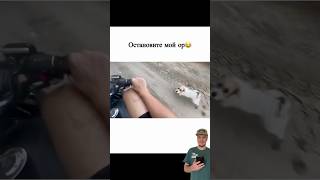 Фокус с исчезновением))) #осторожнокомментарии #смешновидео #комментарии #юмор #прикол