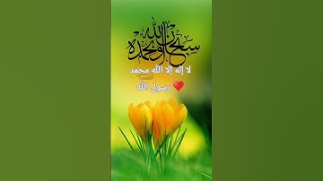 استغفر الله العظيم واتوب اليه #استمع القرآن الكريم #احترم القرآن الكريم #قران #كريم