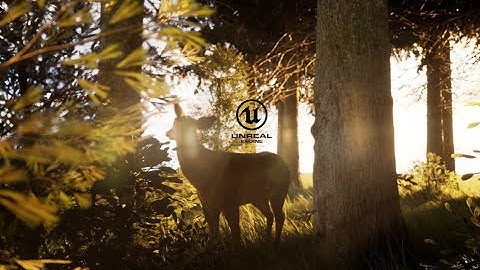 Unreal Engine 5 Forest