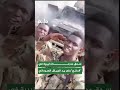 سحق مدرعة ليبية في الدلنج على يد الجيش السوداني