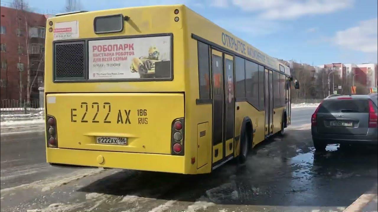Маршрут 107 минеральные. Автобус севастополь ялта. Дачный автобус. Маршрут 107 минеральные. Маршрут автобуса 107.