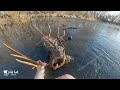 Incredible river find while fishing in town boise river huge mule deer