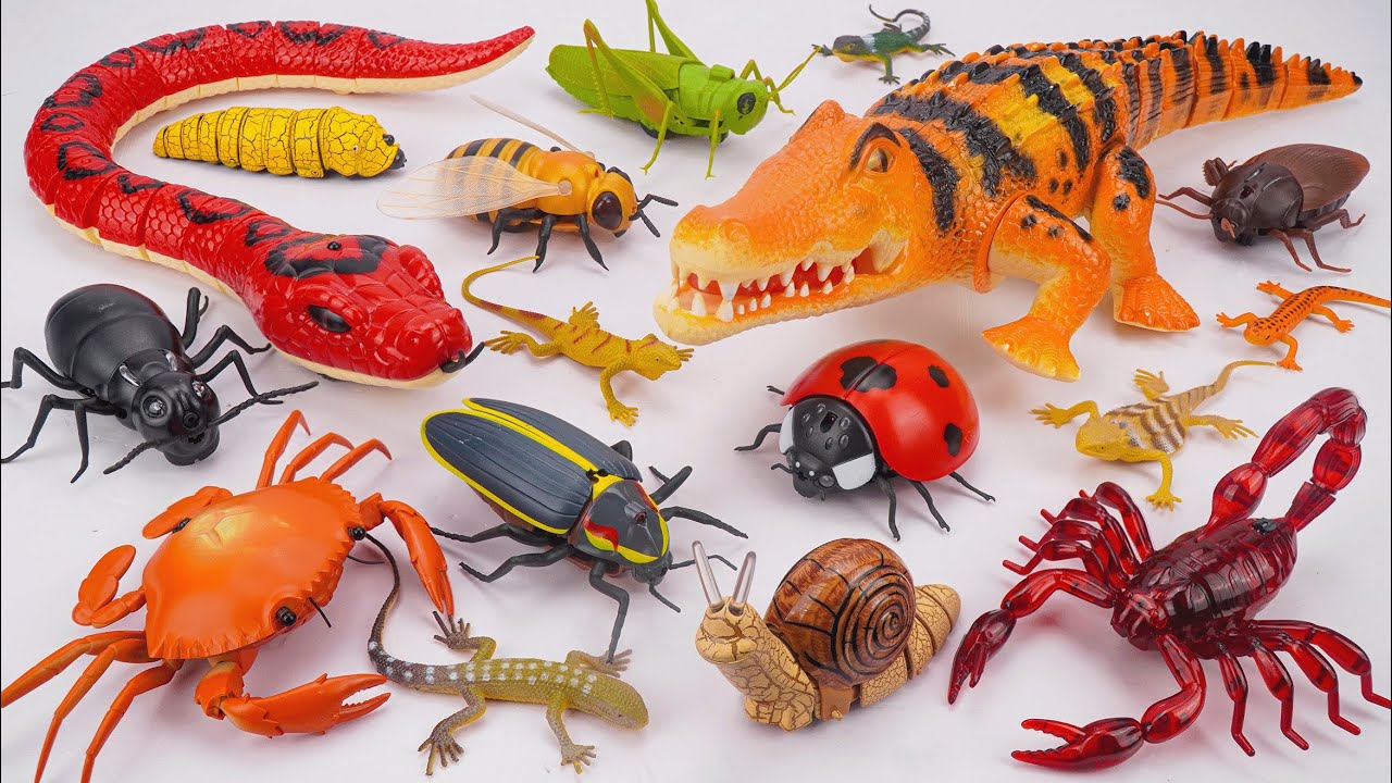ZURU ROBO ALIVE COLLECTION | UNBOXING Robo Crocodile, RC Crab, RC  Scorpion Compilation ASMR