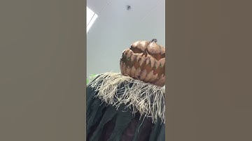 Pop up pumpkin patch at Halloween city! 🎃👻💀