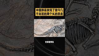 中国黟县发现了距今几千年前的两个头的恐龙