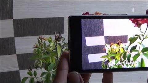 Micromax Yu Yuphoria Camera Test