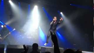 Stone Sour - A rumor of skin (Live @ Turbinenhalle, Oberhausen, Dec. 2012)