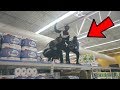 THE ULTIMATE TRYING TO GET KICKED OUT OF WALMART CHALLENGE !!!