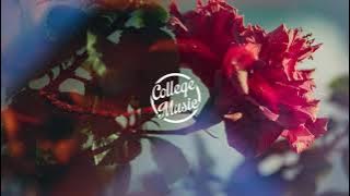 Jordan Rakei - Say Something