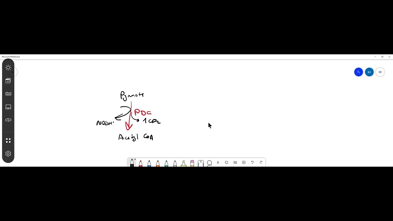 What three steps are included in the breakdown of pyruvate? a. Pyruvate dehydrogenase removes a car…