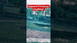 Сильный обряд на кладбище #таро #онлайнтарогадание #онлайгадание #ритуалы