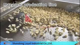 Macaroni production line@Shandong Loyal Industrial