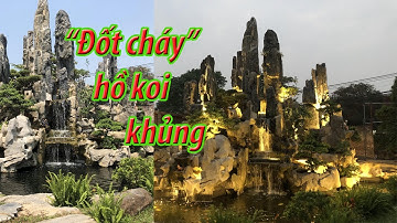 Hướng Dẫn Chiếu Sáng Hồ Cá Koi Bằng Đèn Âm Nước Omled tại La Phù Hà Nội