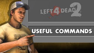 Useful Console Commands | Left 4 Dead 2 (2023)