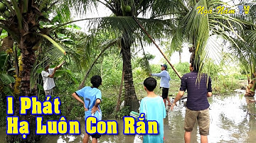 Săn Bắt Chuột Đủ Kiểu, Thu Phục Rắn Đang Canh Mồi Bằng 1 Phát Ná Cao Su/Slingshot/NGÃ NĂM TV