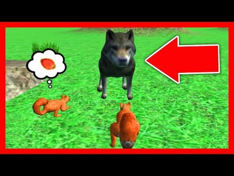 Видео: СИМУЛЯТОР БЕЛКИ #13 ИГРАЕМ С БЕЛЬЧОНКОМ и ОХОТИМСЯ на ВОЛКАв Squirrel Simulator