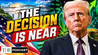The Most Important Cannabis Hearing Yet | TDR Cannabis in 5