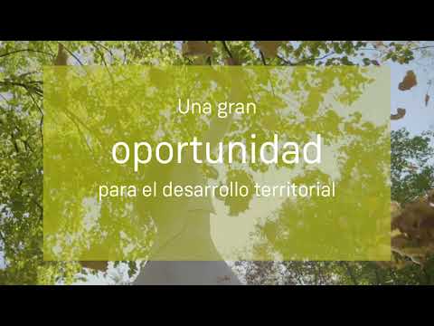 Vídeo Corporativo Proyecto Goya - video from Forestalia