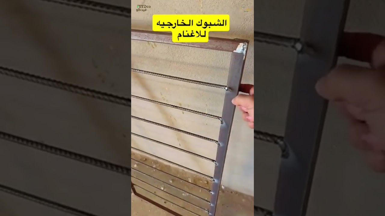 جديد المتجر الشبوك الخارجيه للأغنام 