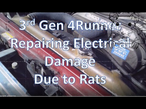 3rd Gen 4Runner - Cranks but no start. Rats Strike Again! Repairing